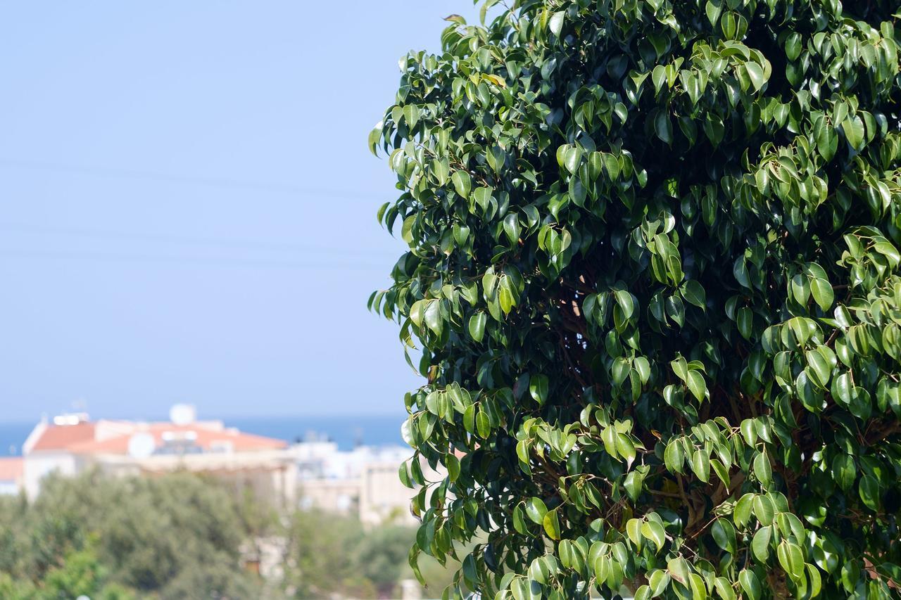 Chill And Relax In A Home With Pool Near The Beach Almirida Esterno foto